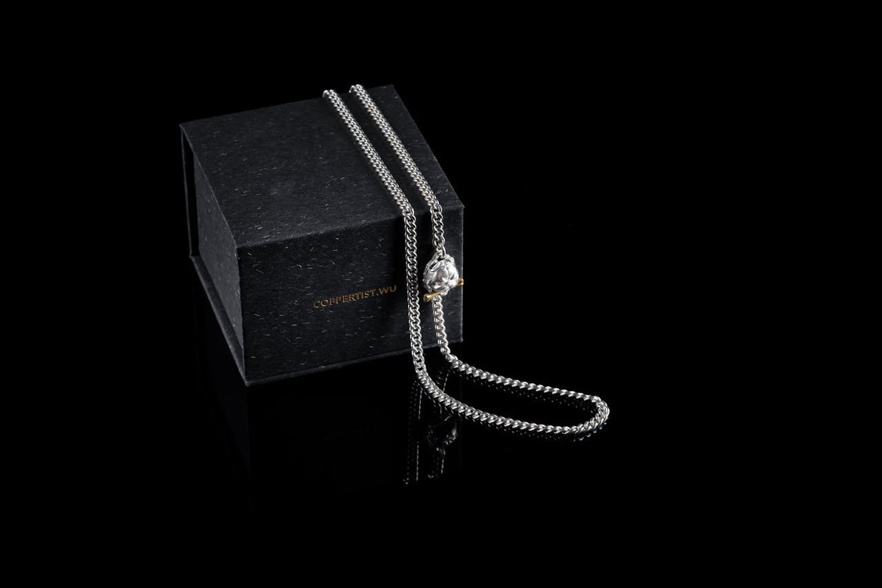 Sophisticated silver necklace with a pendant displayed on a black box, perfect for luxury fashion.